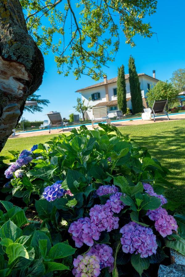 Il Raggio Di Sole Villa Bagnoregio Kültér fotó